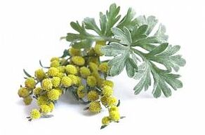 výtažek z pelyňku v NEOfloraxu